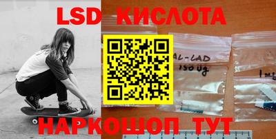 шишки Донской
