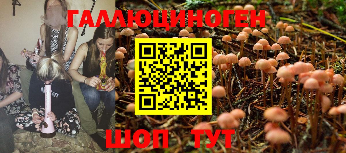Галлюциногенные грибы MAGIC MUSHROOMS Звенигород