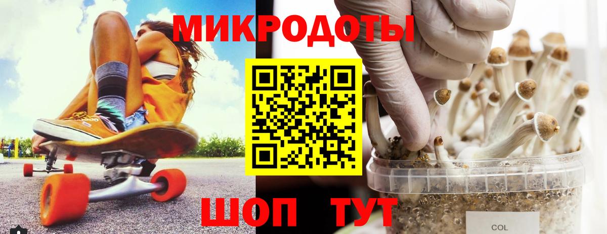 Звенигород  Псилоцибиновые грибы мицелий  Псилоцибиновые грибы GOLDEN TEACHER  Вход с VPN 