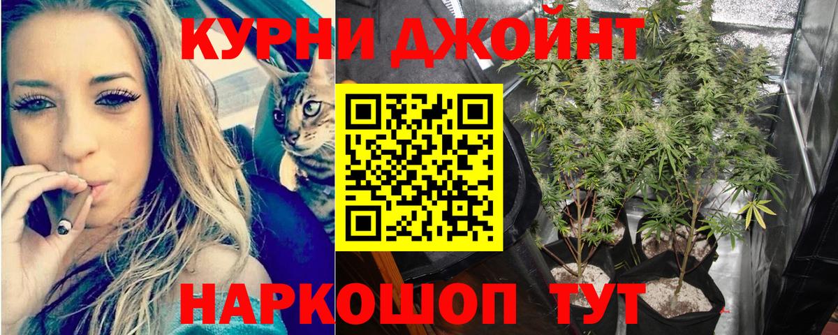 Конопля White Widow Звенигород